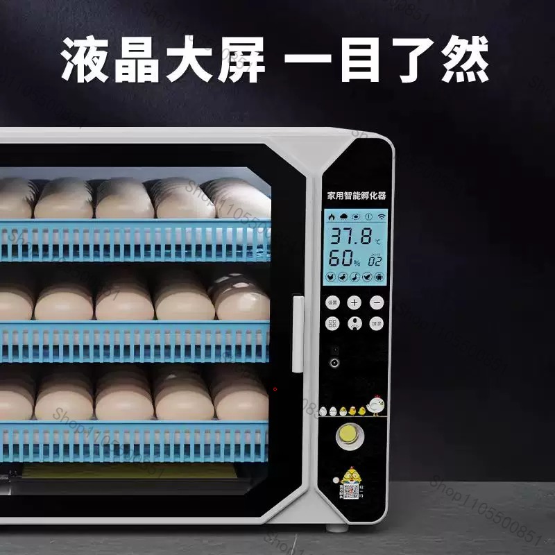 고급형 소형 가정용 자동 계란 부화기 루틴 치킨 부화기 - Lab Incubator 리뷰 및 가격